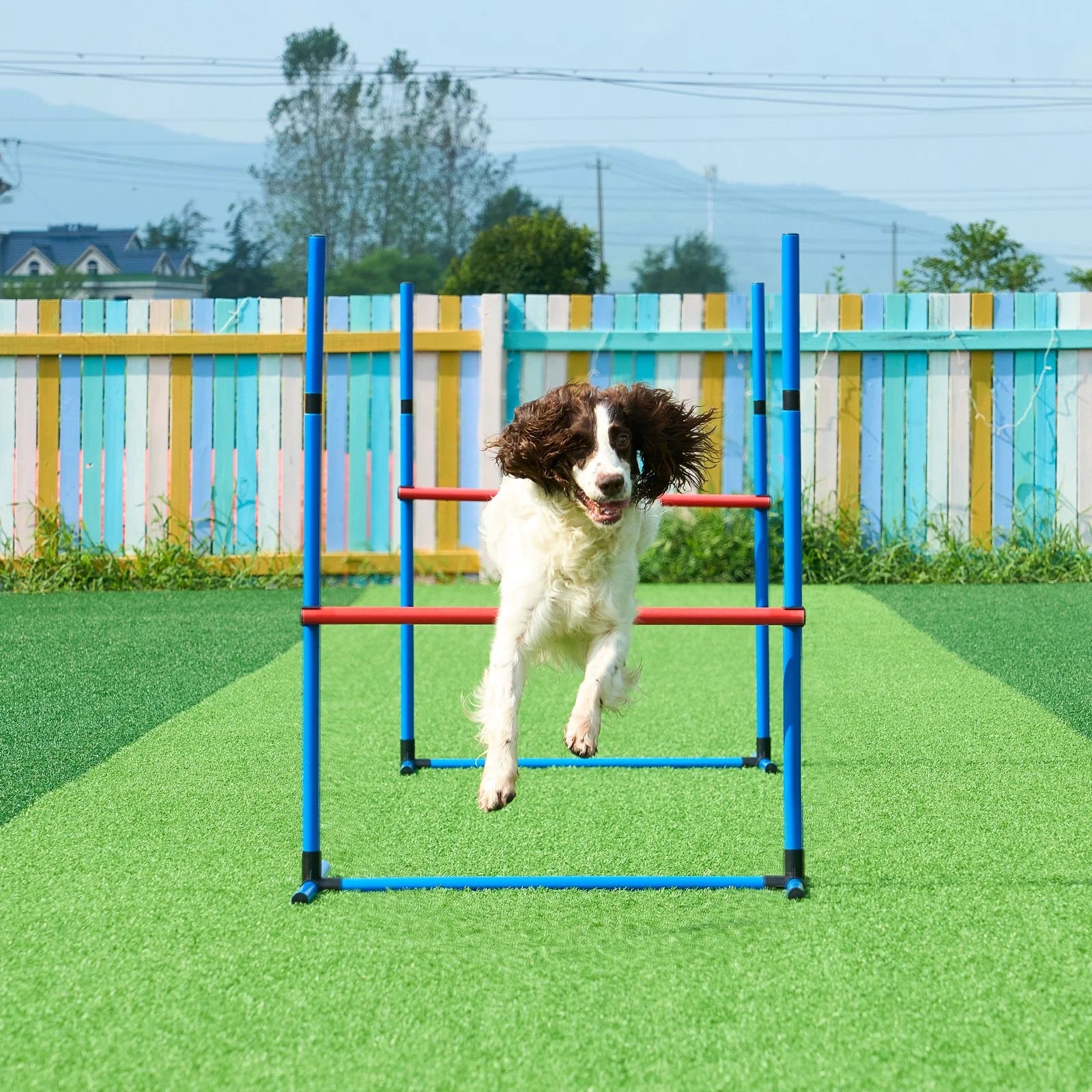 Dog Agility Training Equipment 7 PCS Set Upgrade W/ Hurdles 2 Tunnels Ring