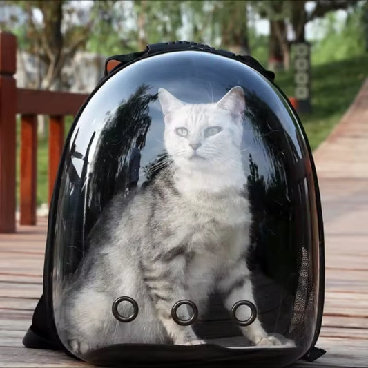 Transparent Pet Space Backpack – Breathable Travel Carrier for Cats & Small Pets